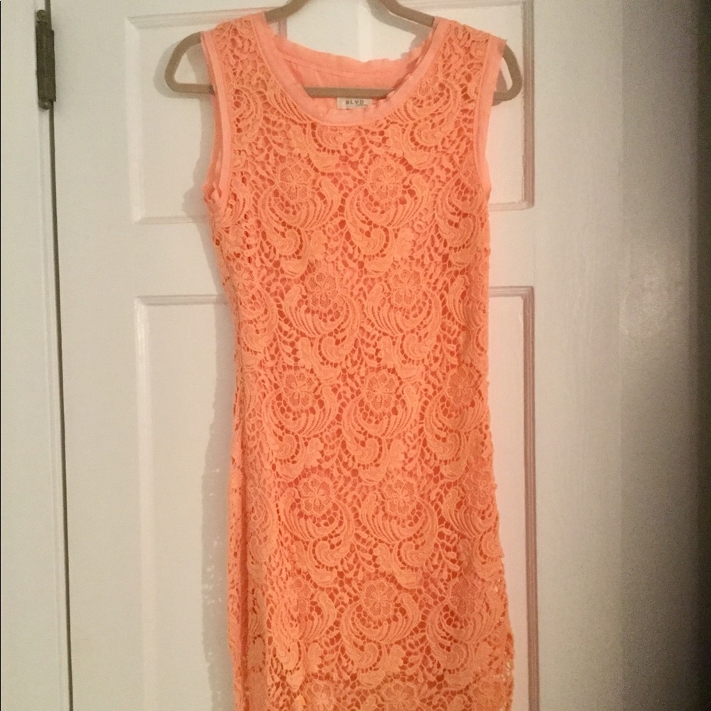 BLVD lace overlay coral dress Size S